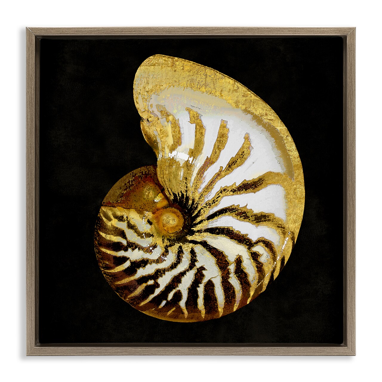 Stupell Industries Spiral Patterned Shell Framed Floater Canvas Wall Art Design by Caroline Kelly